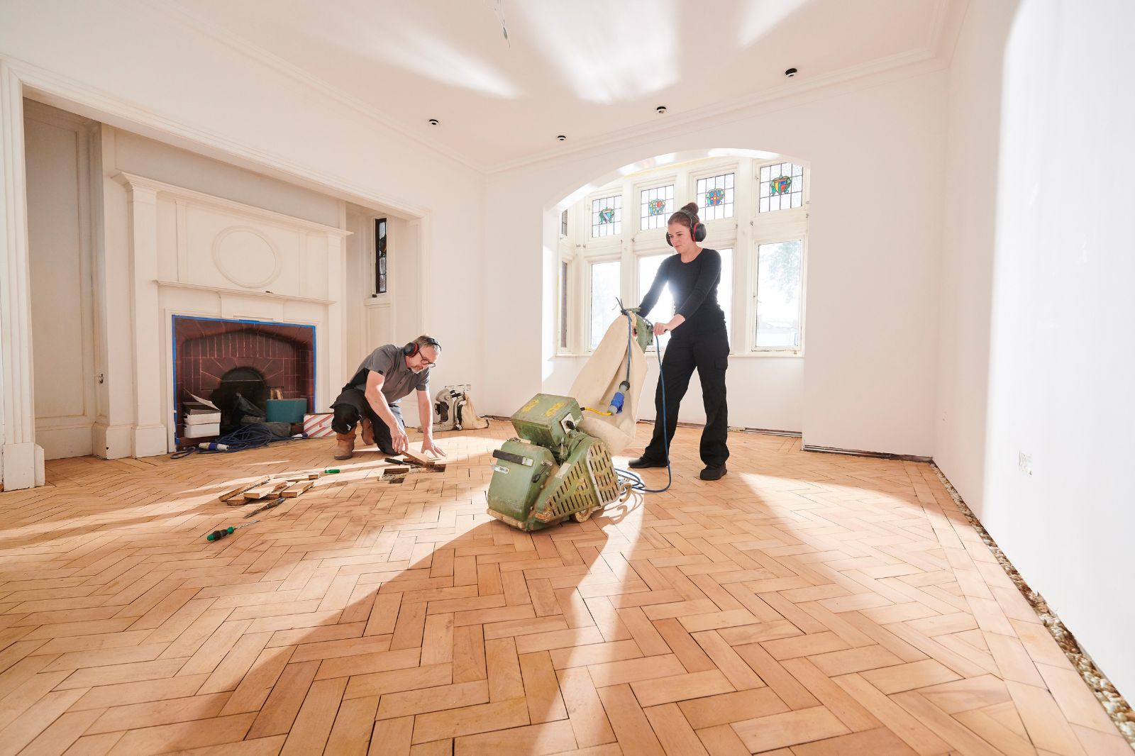 Mold Removal Experts (2)